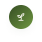 leaf icon